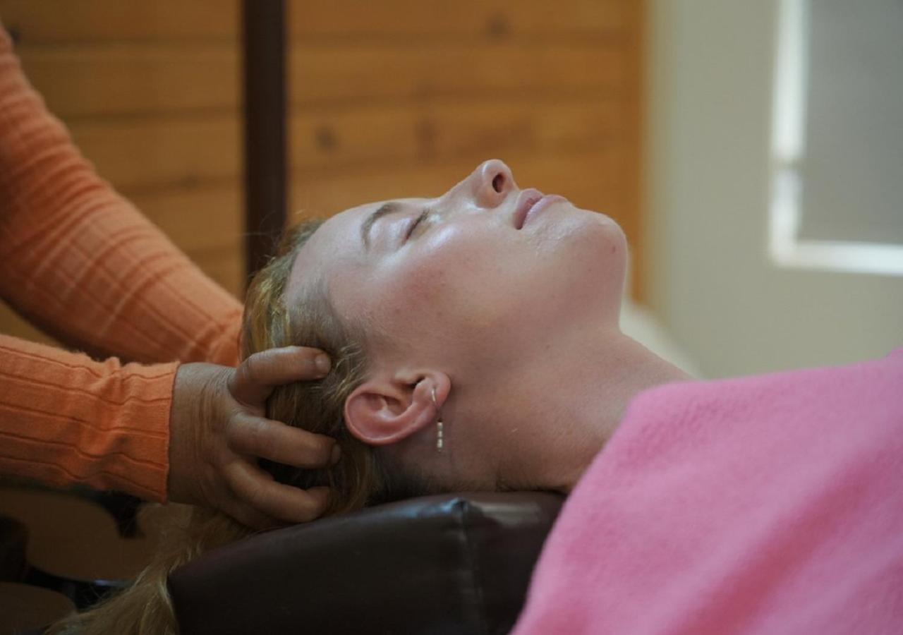 Вілла Panchakarma Retreat - Earth Roots Ayurveda Рішикеш Екстер'єр фото